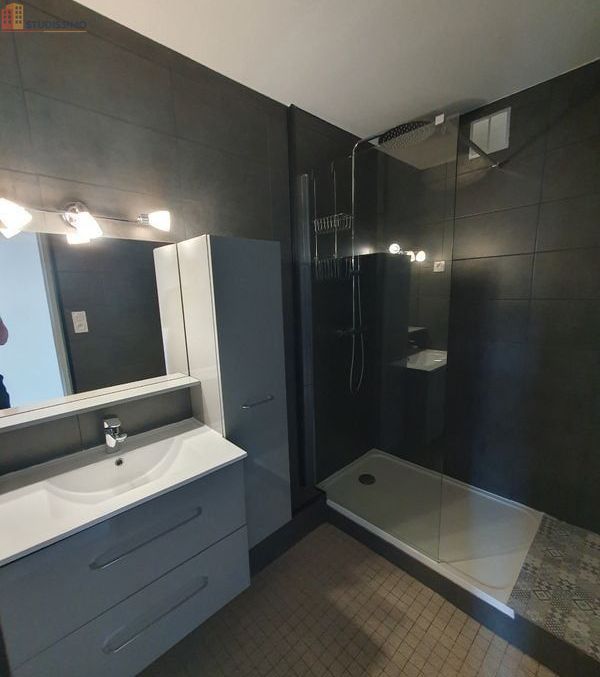 Studio 38m² Albi - Rénové, lumineux - Photo 1