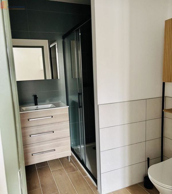 Studio meublé 28m² Graulhet - Meublé, DPE B - Photo 1