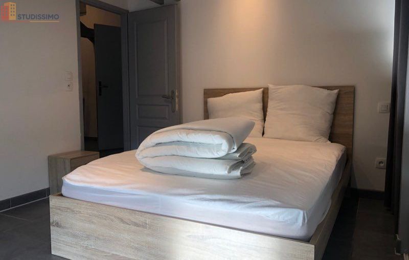 Studio meublé 32m² Carmaux centre - Calme, lumineux - Photo 1