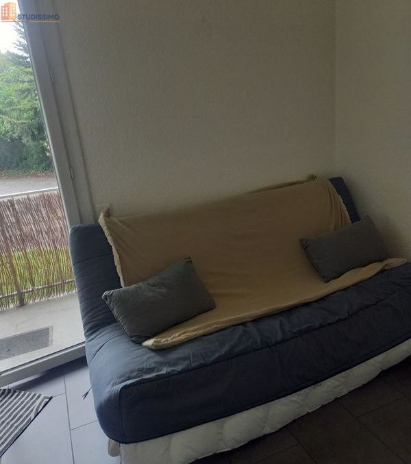 Studio 19m² Albi centre - Meublé, proche université - Photo 2