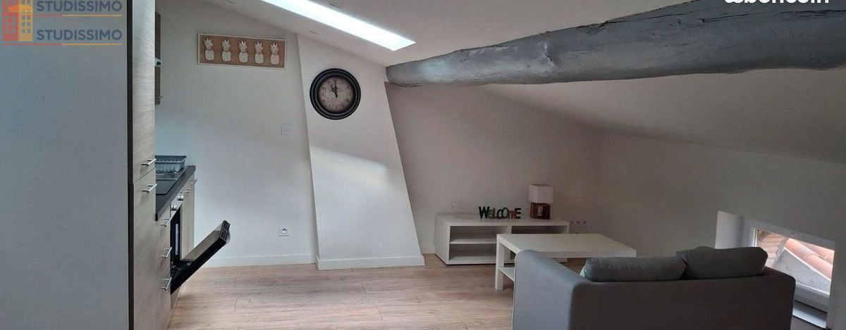 Studio 30m² Mazamet - Étage élevé, lumineux - Photo 1