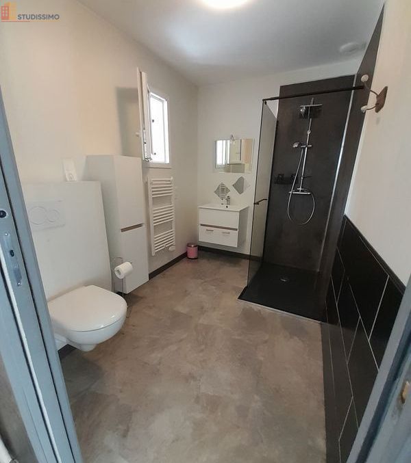 Studio 20m² Lagarrigue - Meublé, DPE B - Photo 1