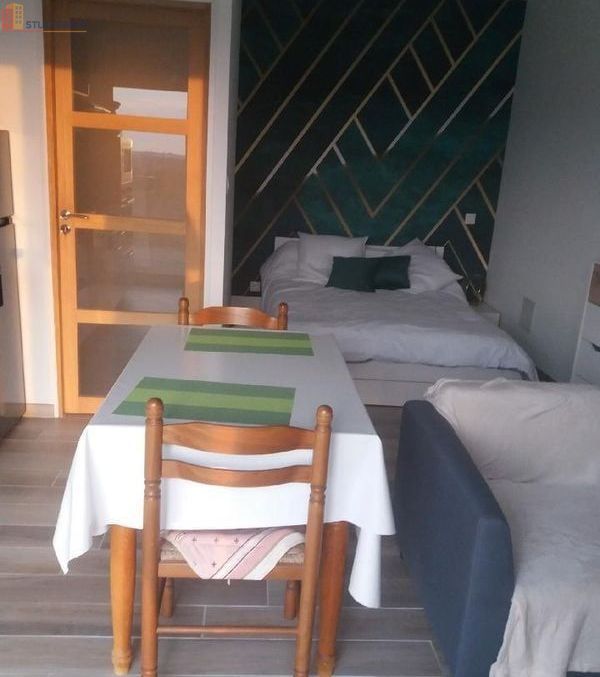 Studio meublé 25m² Auvillar - Meublé, DPE C - Photo 6
