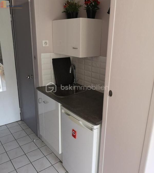 Studio 18m² Royat - 2e étage, lumineux - Photo 4