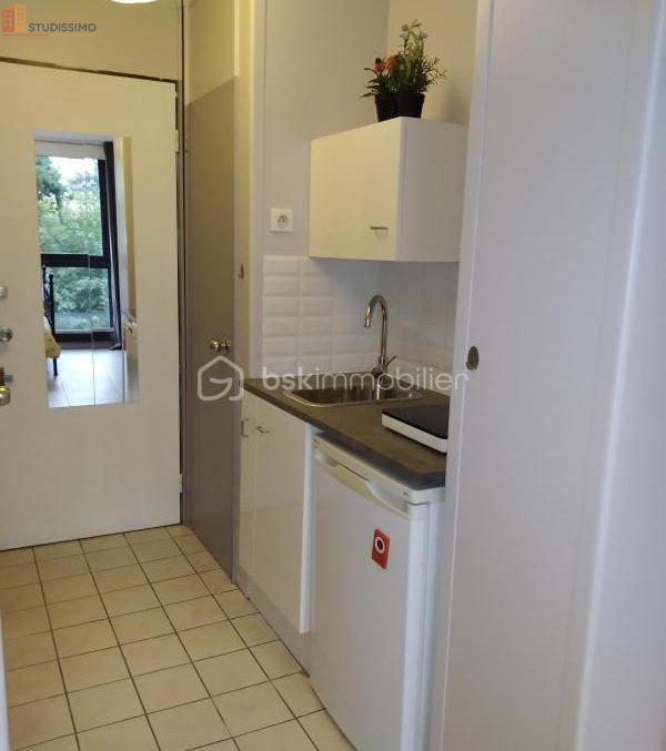 Studio 18m² Royat - 2e étage, lumineux - Photo 3