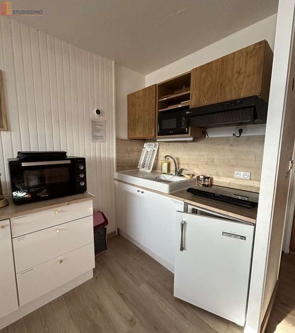 Studio 28m² Besse-et-Saint-Anastaise - Rénové, grand volume - Photo 8
