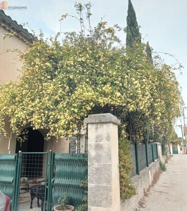 Studio meublé 16m² Avignon - Proche Agroparc, idéal étudiant - Photo 6