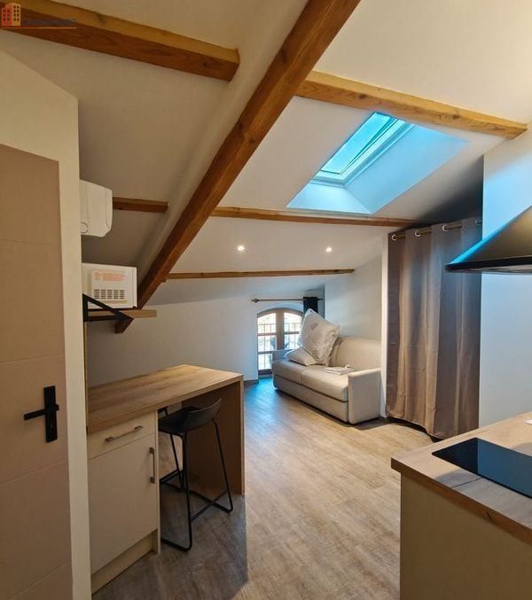 Studio meublé 20m² Mondragon - Charmant, agréable lumineux - Photo 3