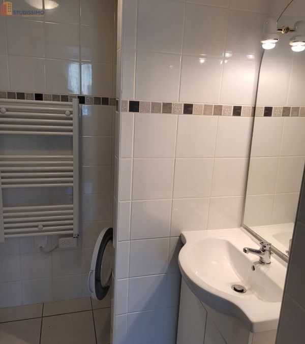 Studio meublé 25m² La Roche-sur-Yon - Terrasse, meublé - Photo 1