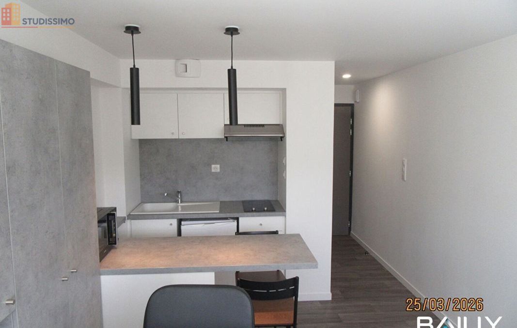Studio meublé 24m² La Roche-sur-Yon - Meublé, DPE C - Photo 5