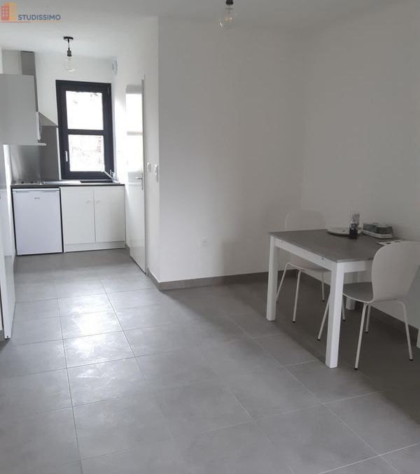 Studio meublé 25m² La Roche-sur-Yon - Meublé, DPE D - Photo 3