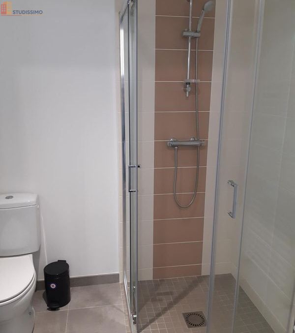 Studio meublé 25m² La Roche-sur-Yon - Meublé, DPE D - Photo 2