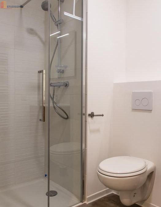 Studio meublé 20m² La Roche-sur-Yon - Meublé, DPE D - Photo 35