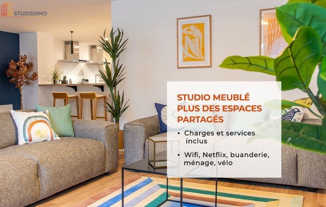 Studio meublé 20m² La Roche-sur-Yon - Meublé, DPE D - Photo 27