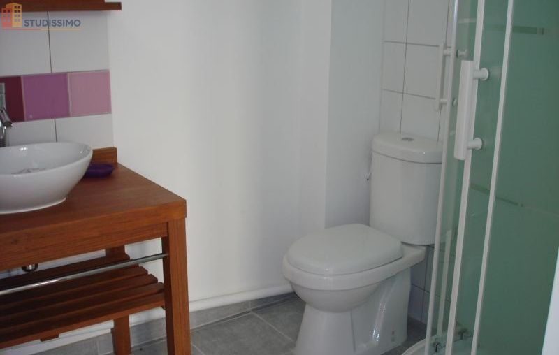 Studio 26m² La Roche-sur-Yon - 1er étage, lumineux - Photo 2