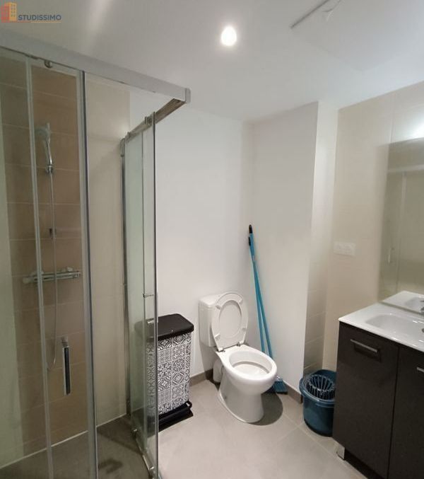 Studio meublé 19m² La Roche-sur-Yon - Duplex, DPE C - Photo 4