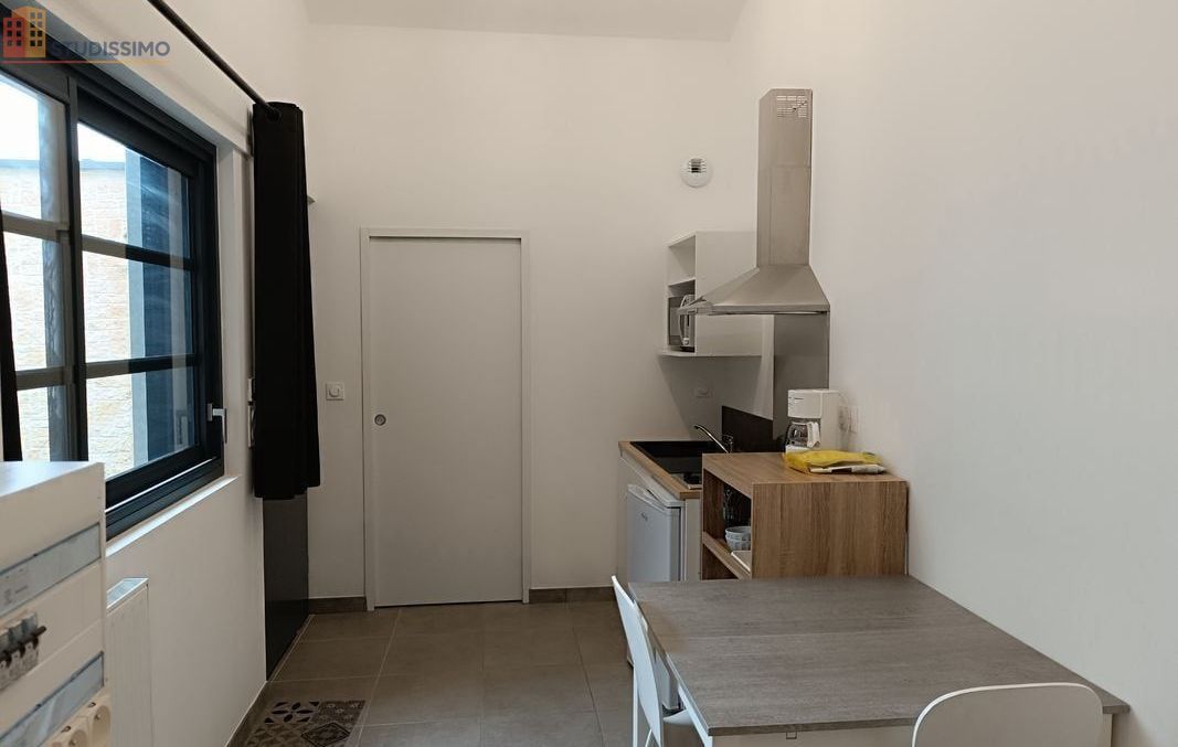Studio meublé 19m² La Roche-sur-Yon - Duplex, DPE C - Photo 1