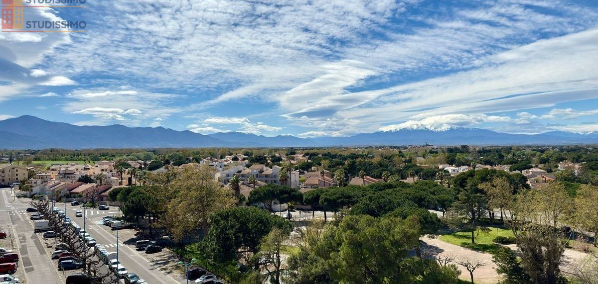 Studio 20m² Saint-Cyprien 66750 - Photo 1
