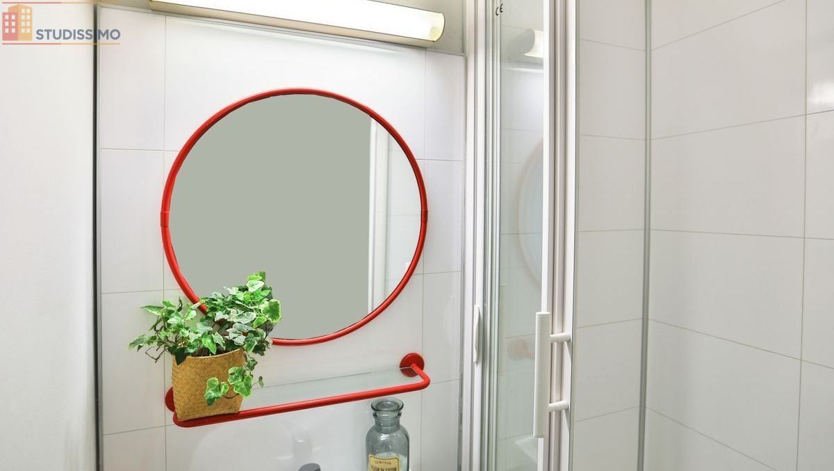 Studio meublé 12m² La Roche-sur-Yon - Meublé, salle d'eau - Photo 9