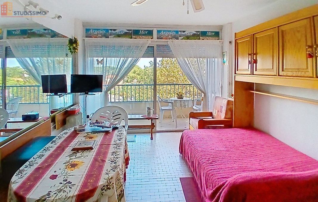Studio 29m² Argelès-sur-Mer - Étage 2/5, DPE D - Photo 4