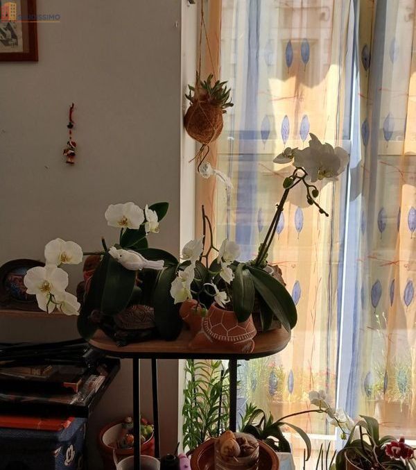 Studio 25m² Les Herbiers centre - Photo 1