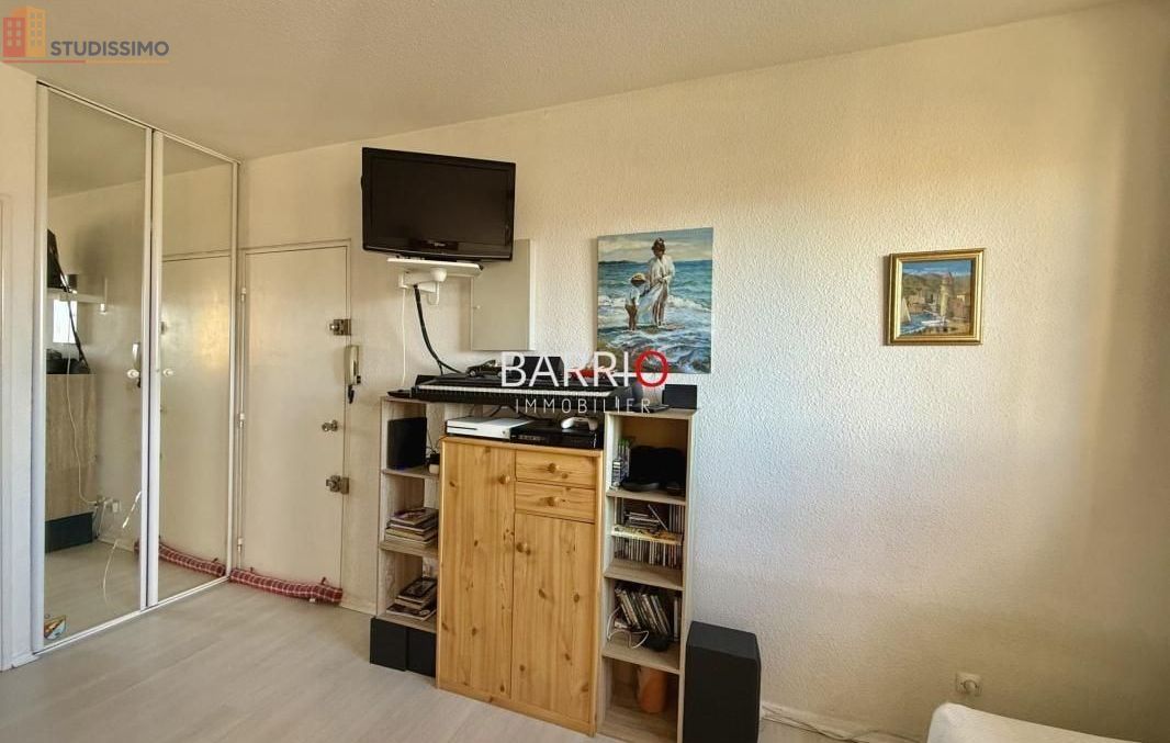 Studio 20m² Saint-Cyprien 66750 - Calme, lumineux - Photo 6