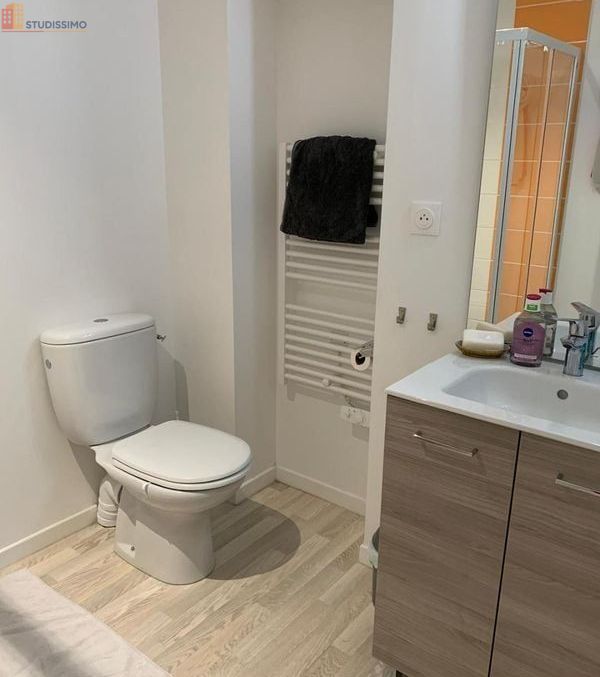 Studio meublé 26m² La Roche-sur-Yon - Meublé, DPE B - Photo 3