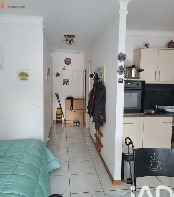 Studio 33m² Amélie-les-Bains-Palalda - DPE B - Photo 4