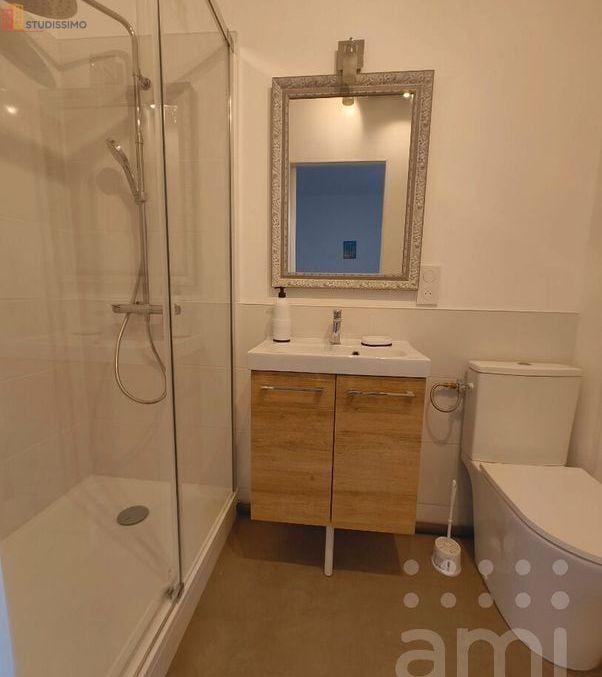 Studio meublé 13m² Poitiers - Meublé, proche commodités - Photo 1