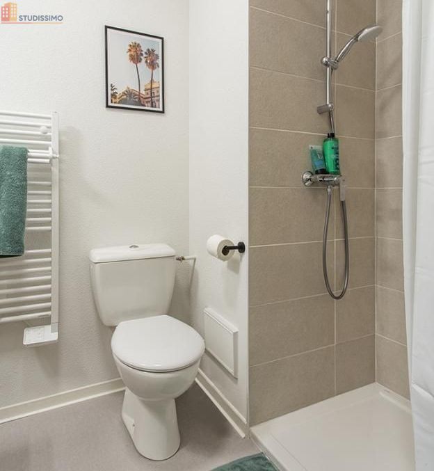 Studio meublé 19m² Poitiers - Meublé, DPE C - Photo 2