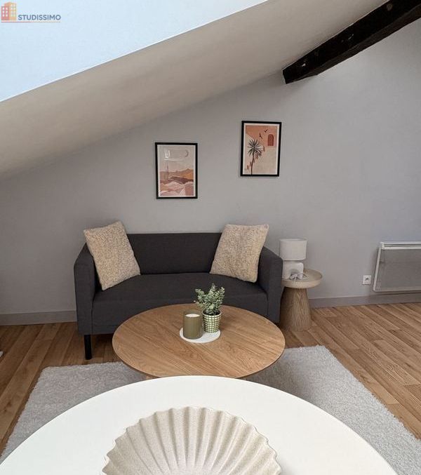 Studio meublé 17m² Poitiers - Meublé, lumineux - Photo 8