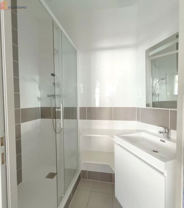Studio 20m² Poitiers - DPE D - Photo 9