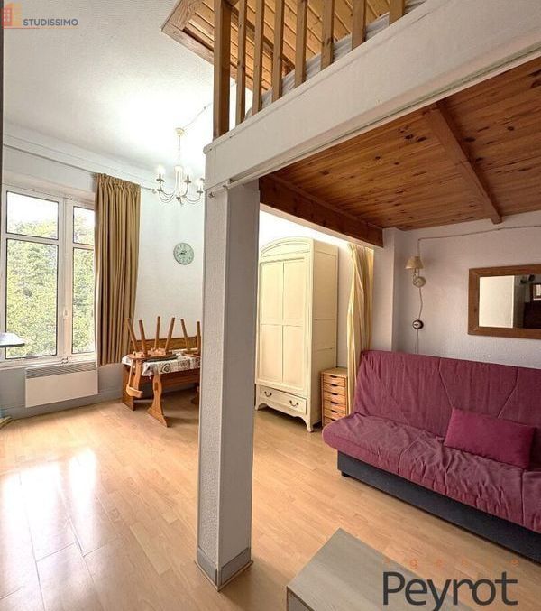 Studio 21m² Font-Romeu-Odeillo-Via - Étage élevé, lumineux - Photo 8