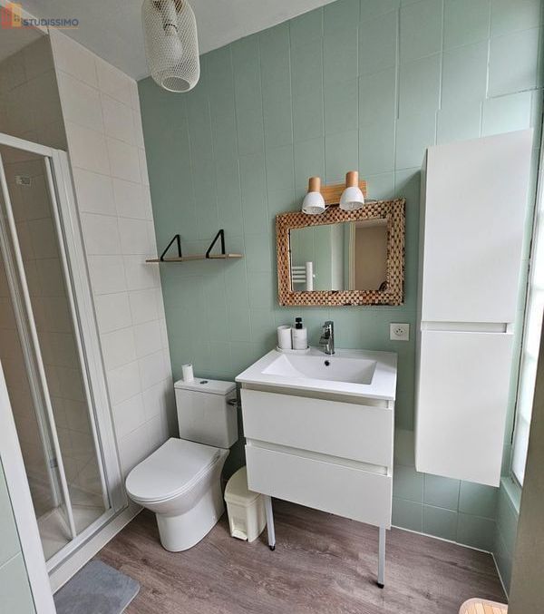 Studio meublé 21m² Poitiers centre - Meublé, lumineux - Photo 5