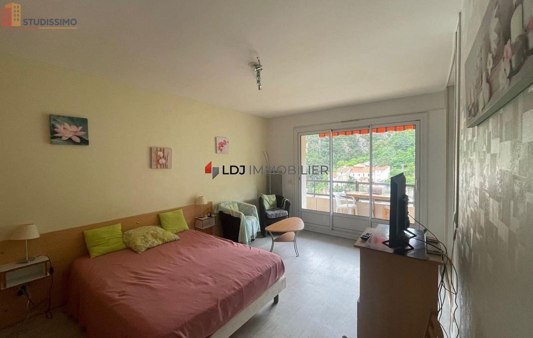 Studio 28m² Amélie-les-Bains-Palalda - Étage élevé, DPE D - Photo 6