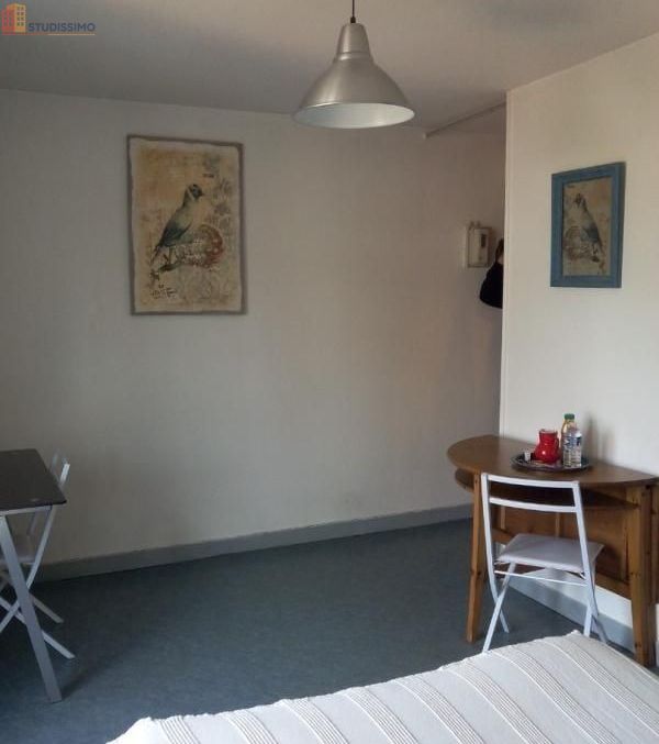 Studio meublé 20m² Poitiers - Meublé, DPE D - Photo 8