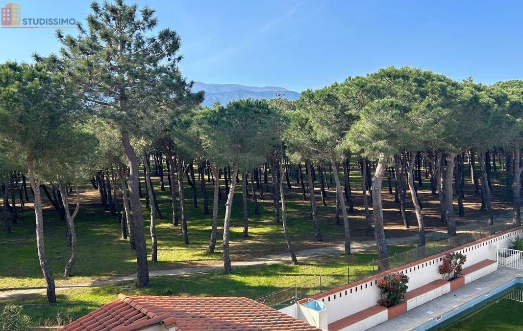 Studio 24m² Argelès-sur-Mer - 1er étage - Photo 1