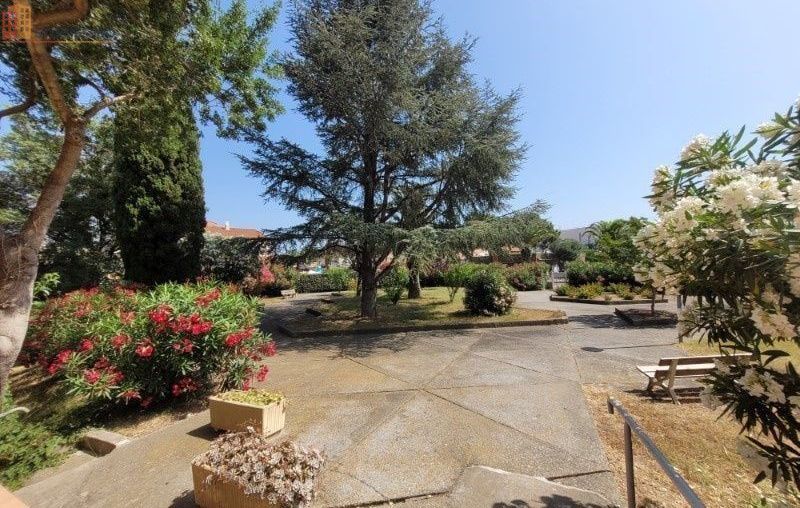 Studio 29m² Argelès-sur-Mer - 2e étage, DPE D - Photo 4