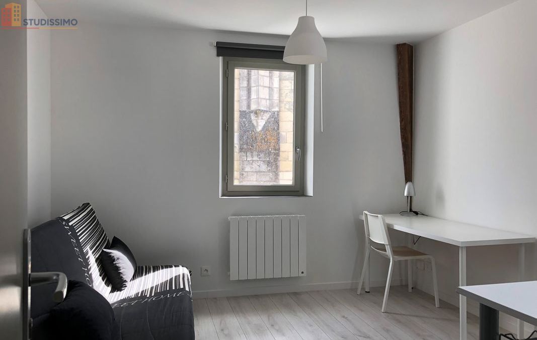 Studio meublé 19m² Châtellerault centre - Lumineux, meublé - Photo 4