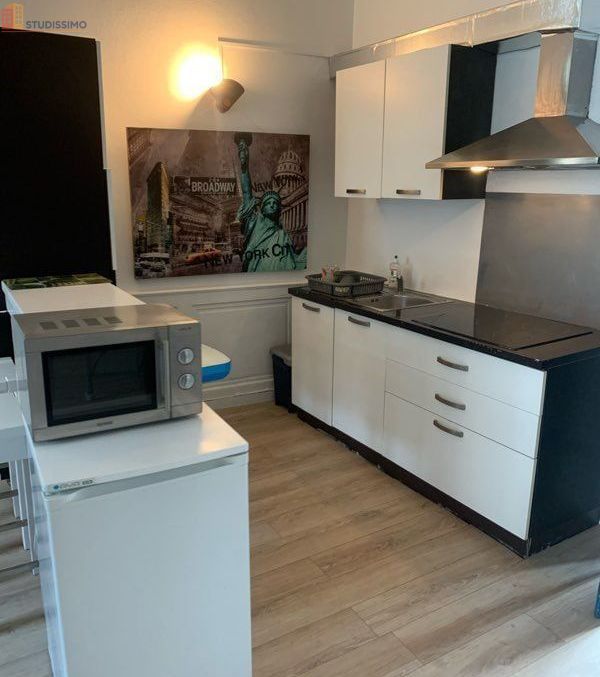 Studio meublé 46m² Poitiers centre - Grand, lumineux - Photo 2