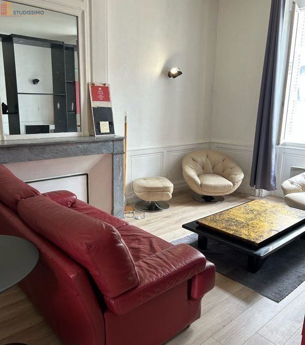 Studio meublé 46m² Poitiers centre - Grand, lumineux - Photo 1
