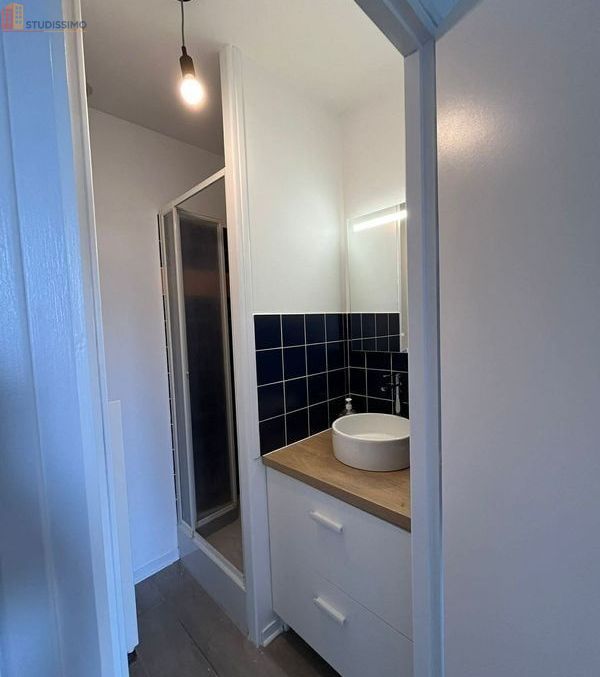 Studio meublé 19m² Poitiers centre - Lumineux, 2e étage - Photo 6