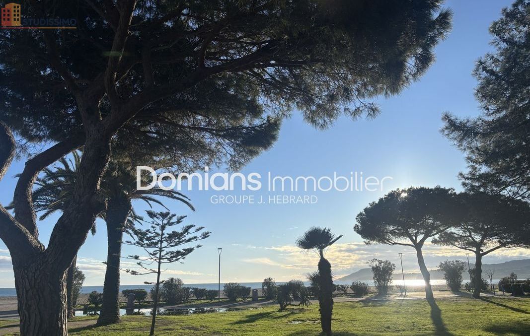 Studio 28m² Argelès-sur-Mer - 1 pièce - Photo 1