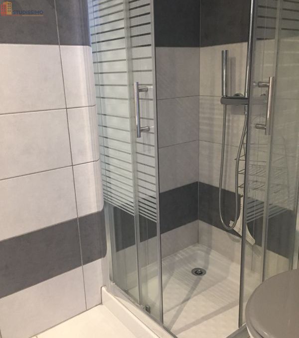 Studio meublé 21m² Poitiers - Meublé, DPE C - Photo 4