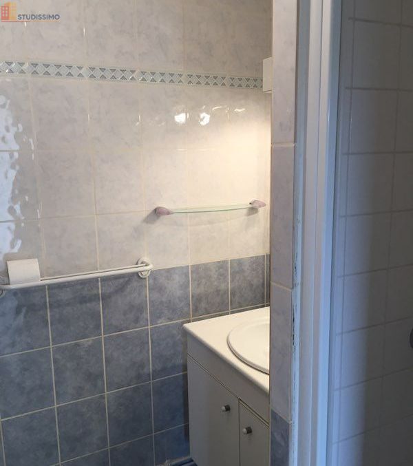 Studio 36m² Saint-Benoît 86280 - T1 bis, lumineux - Photo 5