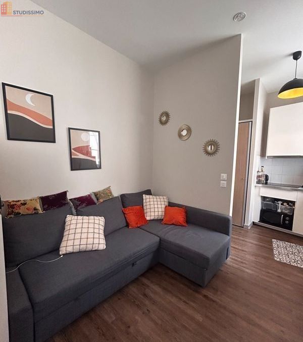 Studio 29m² Poitiers centre-ville - Charmant, lumineux - Photo 23