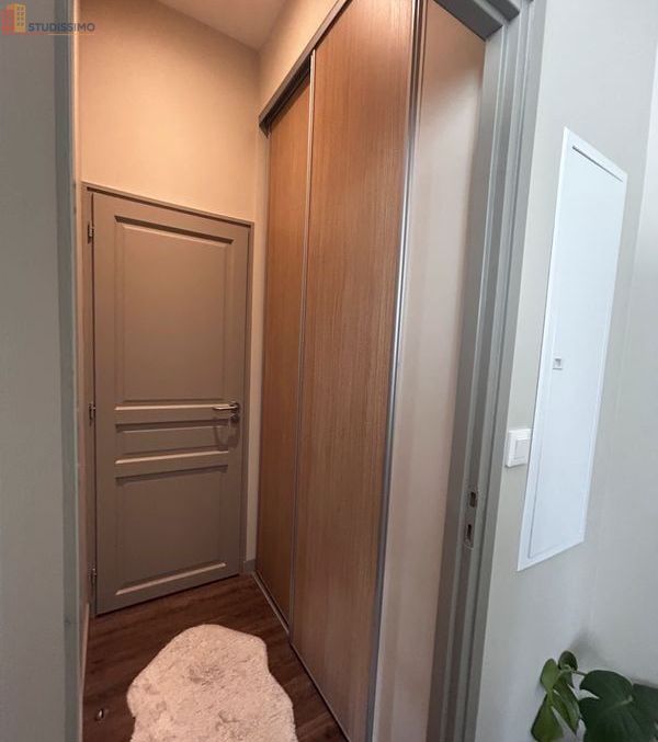 Studio 29m² Poitiers centre-ville - Charmant, lumineux - Photo 6