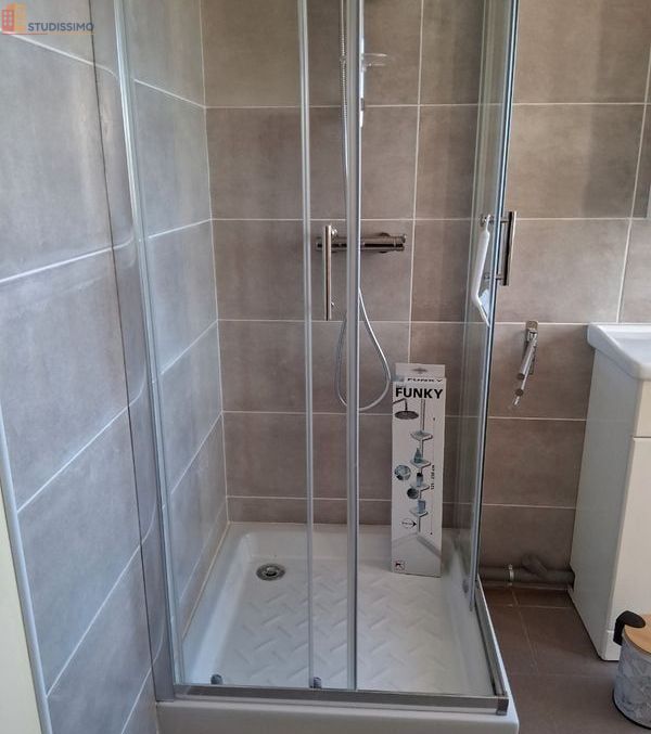 Studio 21m² Chasseneuil-du-Poitou - Meublé, DPE B - Photo 5