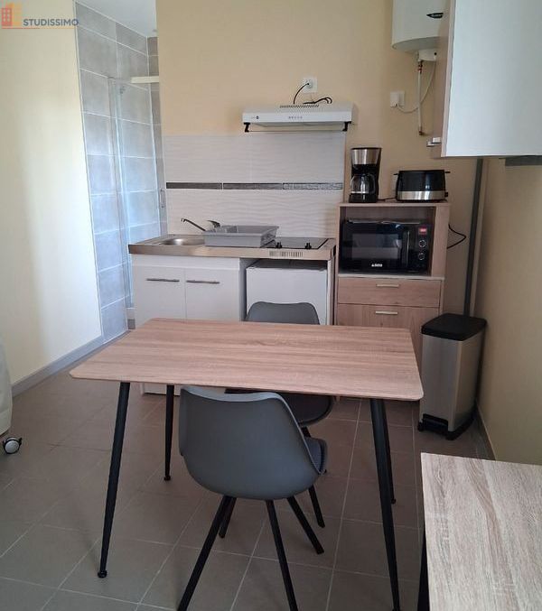 Studio 21m² Chasseneuil-du-Poitou - Meublé, DPE B - Photo 4