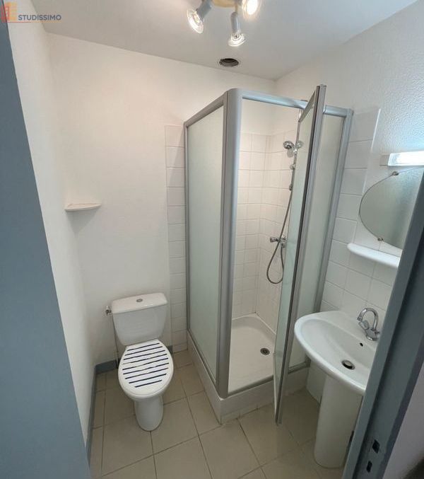 Studio meublé 20m² Poitiers centre - Meublé, DPE C - Photo 1